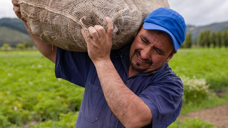 Man working in a field