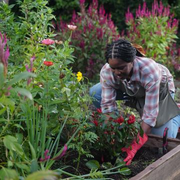 Woman gardening